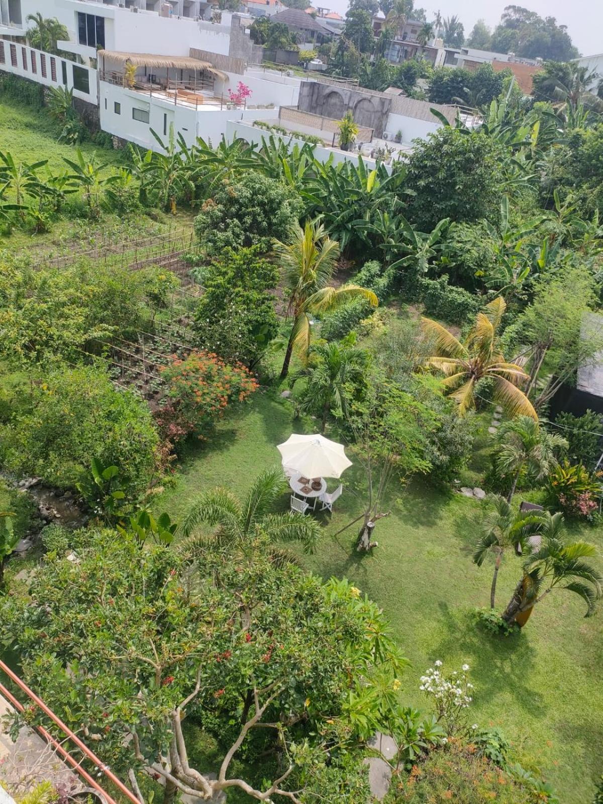 Villa Lotus 8 Canggu  Exterior photo